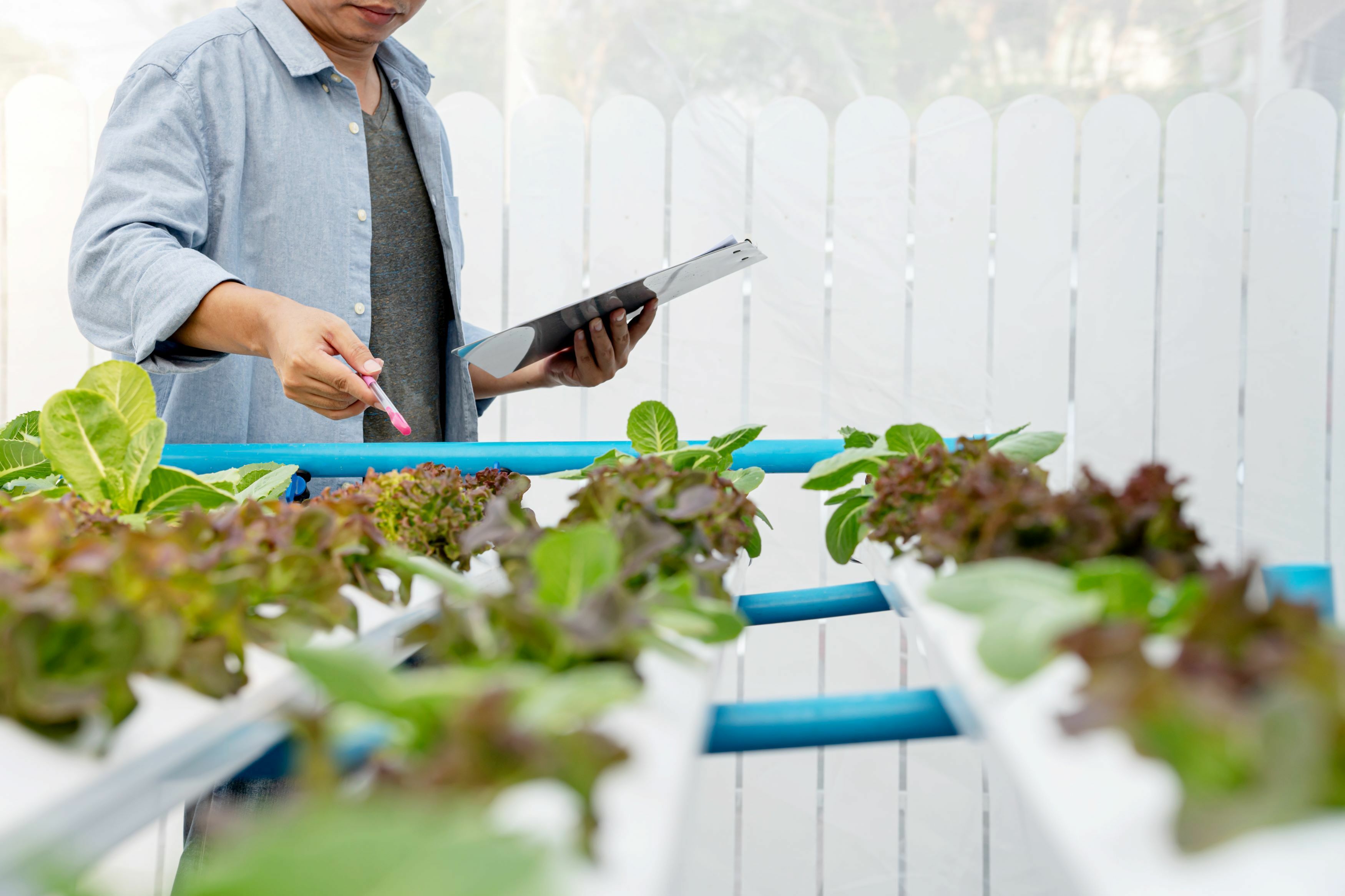 Asset633a93a5e561d6 86094969