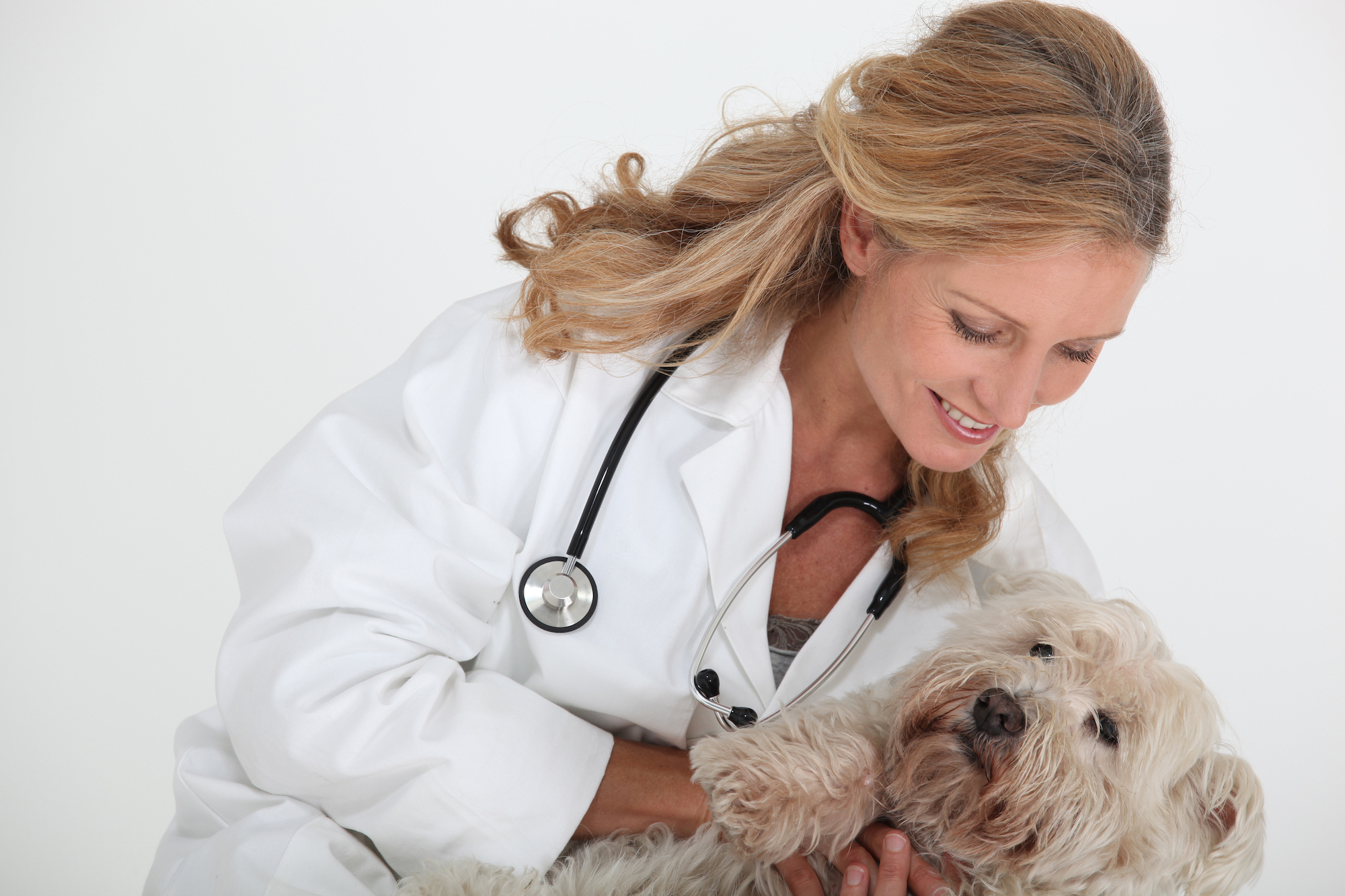 Asset633a97336b3428 43095055